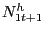 $ N^{h}_{1t+1}$
