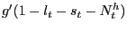 $ g^{\prime}(1-l_{t}-s_{t}-N^{h}_{t})$