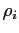 $\rho_i$