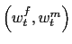 $ \left( w_{t}^{f},w_{t} ^{m}\right) $