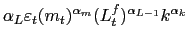 $\displaystyle \alpha_{L}\varepsilon_{t}(m_{t})^{\alpha_{m}}(L_{t}^{f})^{\alpha_{L-1} }k^{\alpha_{k}}$