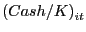 $ \left( {{Cash} \mathord{\left/ {\vphantom {{Cash} K}} \right. \kern-\nulldelimiterspace} K} \right) _{it} $