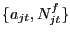 $ \{a_{jt}, N^{f}_{jt}\}$
