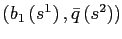 $ \left( b_{1}\left( s^{1}\right) ,\bar{q}\left( s^{2}\right) \right) $