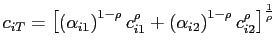 $ c_{iT}=\left[ \left( \alpha_{i1}\right) ^{1-\rho}c_{i1}^{\rho }+\left( \alpha_{i2}\right) ^{1-\rho}c_{i2}^{\rho}\right] ^{\frac{1}{\rho} }$