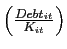 $ \left( \frac{Debt_{it}}{K_{it}}\right) $