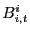 $ B^{i}_{i,t}$