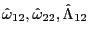 $ \hat{\omega}_{12},\hat{\omega}_{22},\hat{\Lambda}_{12}$