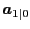$ \boldsymbol{a}_{1\vert}$