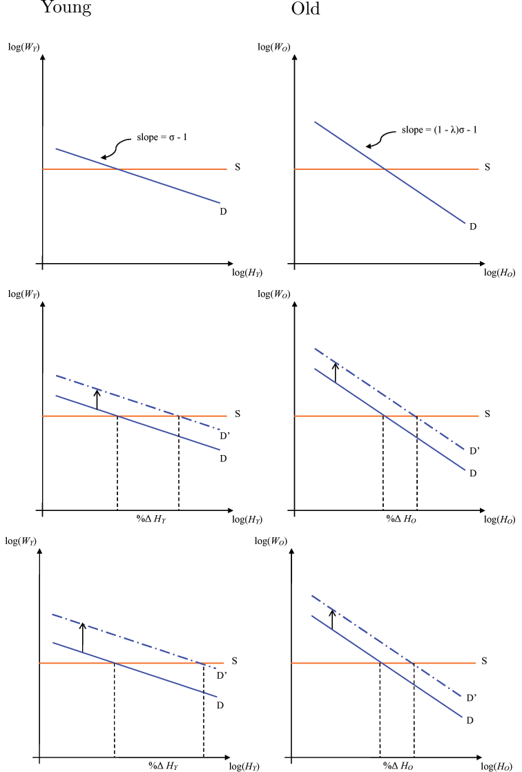 Displays six panels , those on left being for 'young' and those on right being for 'old'. For all panels, Red lines labeled 'S' depict the labor supply curves derived from the household's FONCs with Rogerson-Hansen preferences in log-log space with common slope Theta _Y = Theta _O = 0; blue lines labeled 'D' depict labor demand curves. Top panel: slope of demand curve for HY is flatter than the demand curve for HO. Middle panel: we abstract from the wealth effects of a productivity shock on the labor supply since they are identical across young and old; the shock causes both demand curves to shift up; the �relative slope� effect is evident in % change in HY > %_HO. Bottom panel: the 'relative shift' effect is evident from the labor demand for HY shifting up by more than for HO, increasing %HY even more.