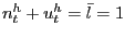 $ n^{h} _{t}+u^{h}_{t} = \bar{l} = 1$