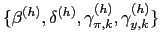 $ \{\beta^{(h)},\delta^{(h)},\gamma_{\pi,k}^{(h)},\gamma_{y,k}^{(h)}\}$