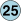 25