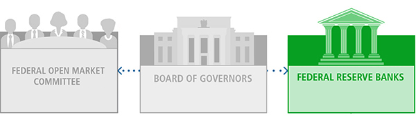 FEDERAL RESERVE BANKS graphic highlighted with color. Two other graphics in gray, BOARD OF GOVERNORS, and FEDERAL OPEN MARKET COMMITTEE, plus dotted arrows from the BOARD to the FOMC and the BANKS.