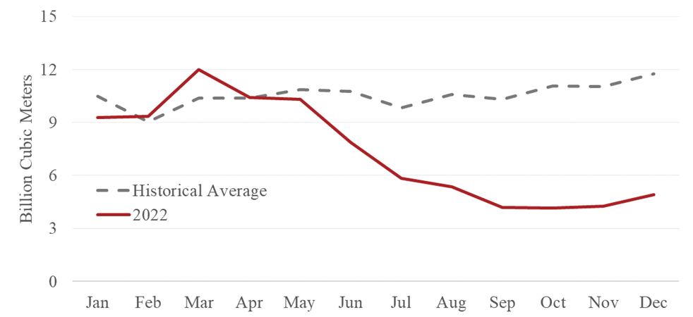 Figure 1. Natural Gas Imports from Russia to the EU. See accessible link for data.