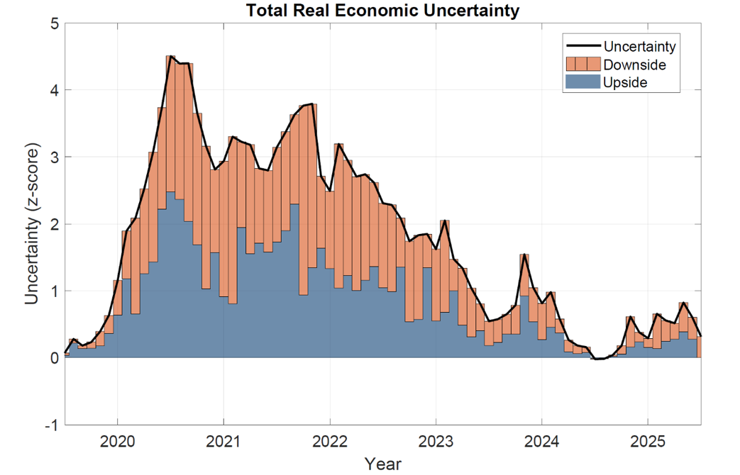 Figure 1. The Upside and Downside Components of Real Economic Uncertainty. See accessible link for data.