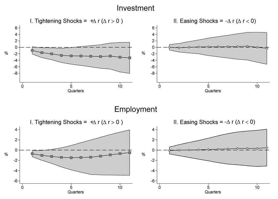Figure 2. Average Response of Investment and Employment. See accessible link for data.