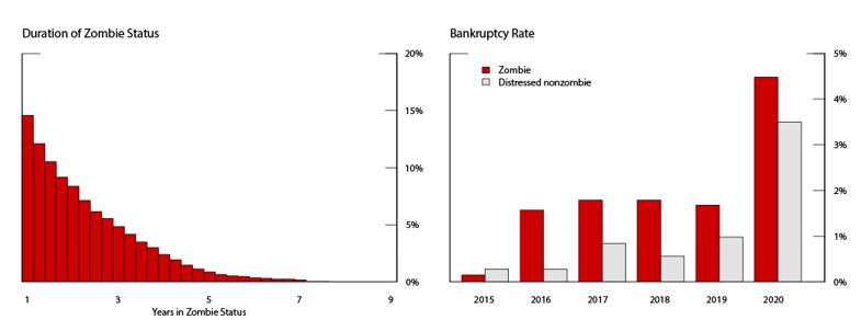 Figure 6. Duration of Zombie Status and Bankruptcy. See accessible link for data.