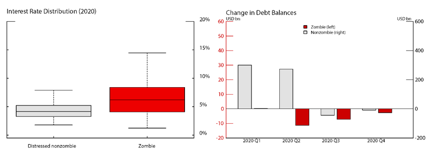Figure 8. Zombie Firms' Financing in 2020. See accessible link for data.