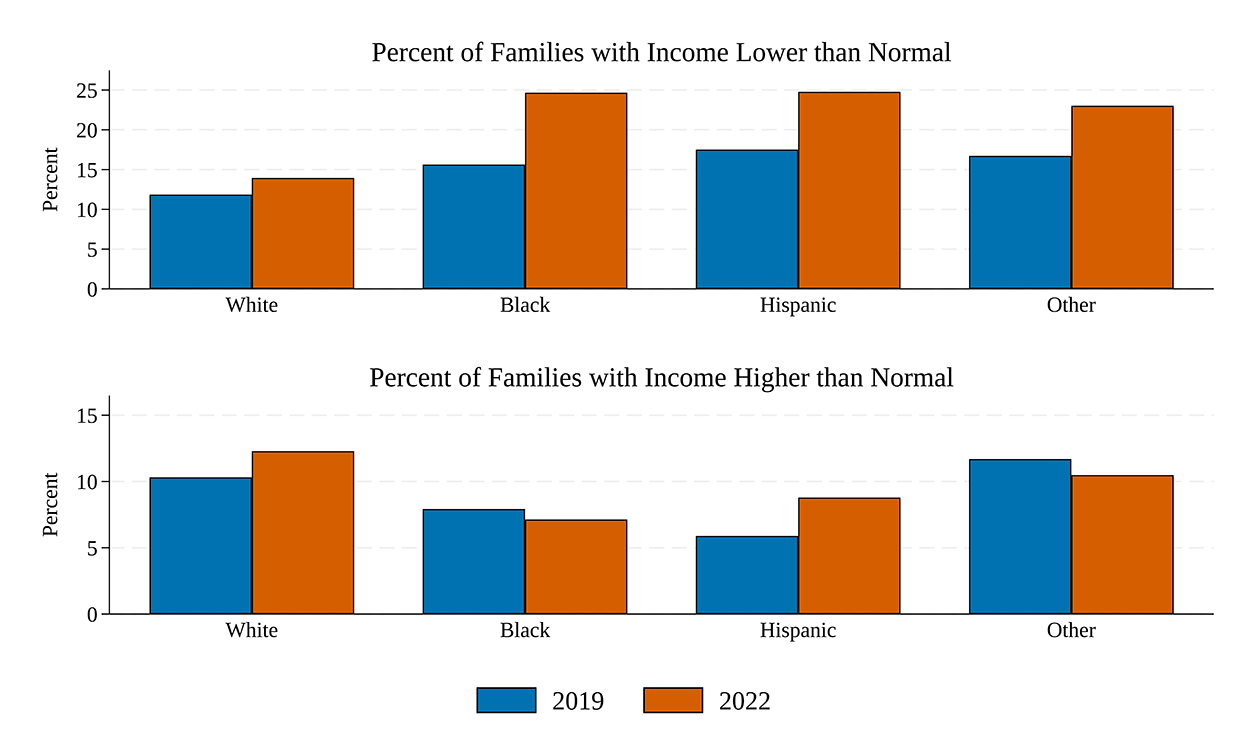 Figure 9. Especially Non-White Families Said Their Income Is Unusually Low. See accessible link for data.