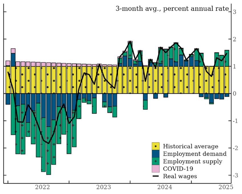 Figure A1. Historical Decomposition of Real Wage Growth. See accessible link for data.