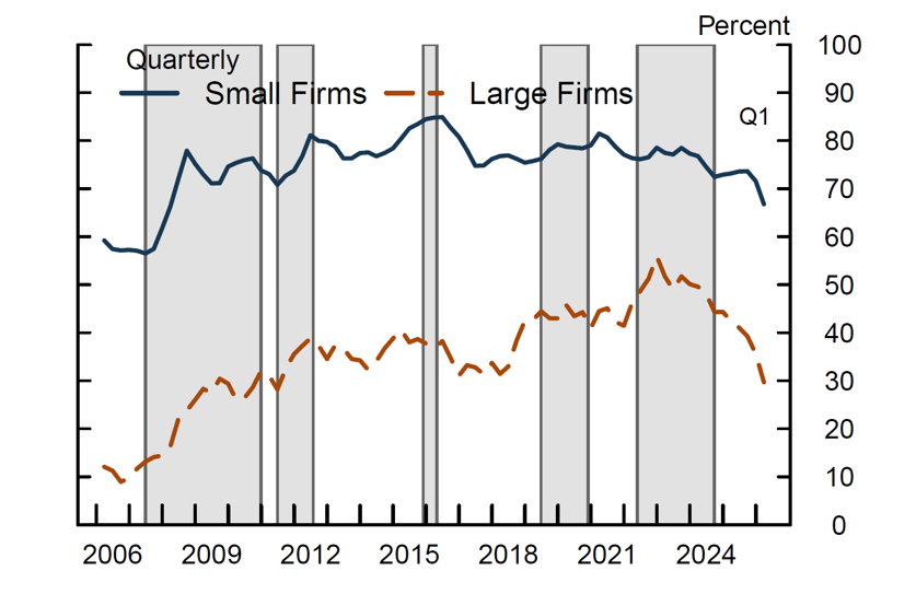 Figure 4. Share of Firms with New Borrowing in the PC Market, by Firm Size.