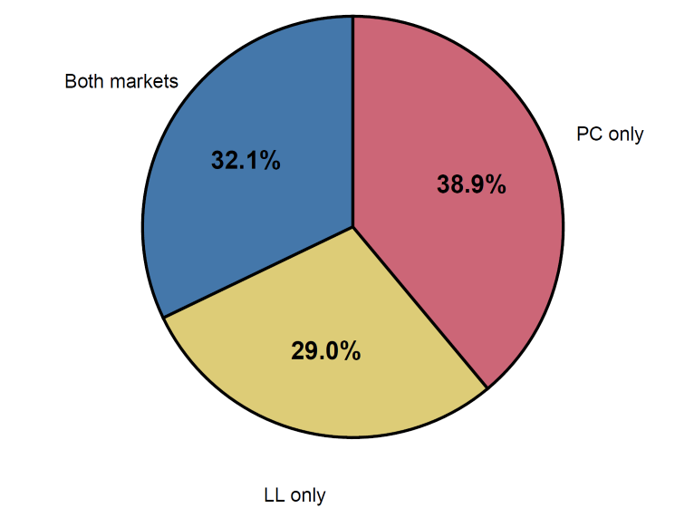 Figure 5. Distribution of Borrowers by their Debt Profile, as of the End of 2025. See accessible link for data.