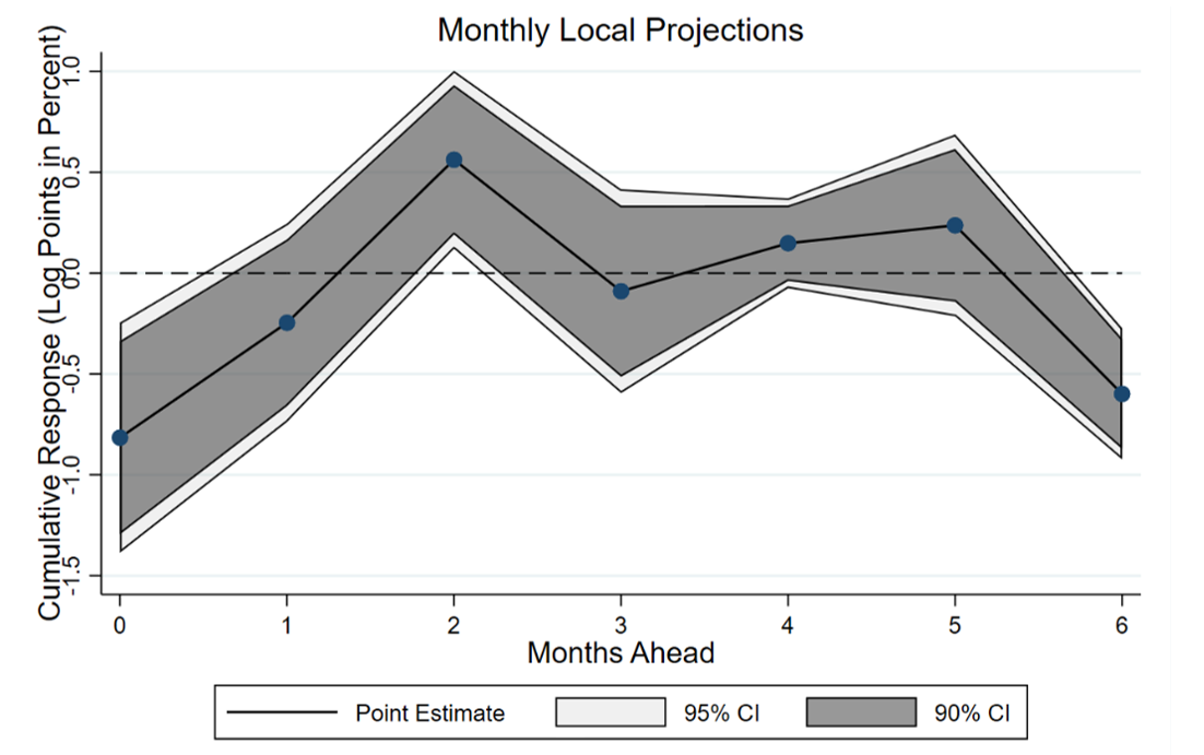 Figure A2. Local Projections of Monthly Bank Stock Prices on BGPR. See accessible link for data.