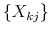  \left \{ X_{kj}\right \} 