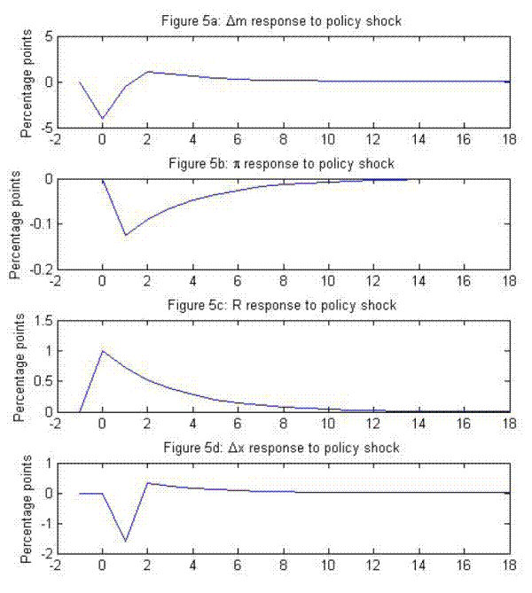 Figure 5: Responses to a monetary policy shock, New Keynesian model.