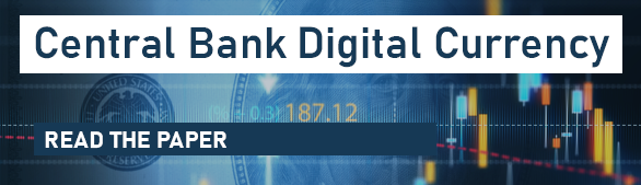 Central Bank Digital Currency: read and comment on the paper