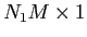  N_{1} M \times 1