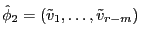 \hat {\phi }_2 =\left( {\tilde {v}_1 ,\ldots ,\tilde {v}_{r-m} } \right)
