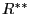 R^{\ast \ast }