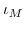  \iota_{M}