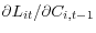 \partial L_{it} /\partial C_{i,t-1} 