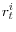 r_t^i 