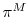  \pi^M