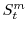  S_t^m