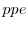  ppe