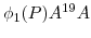 \phi_{1}(P)A^{19}A