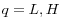 q=L,H