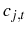  c_{j,t}