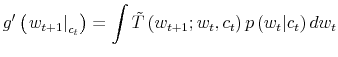 \displaystyle g^{\prime}\left( \left. w_{t+1}\right\vert _{c_{t}}\right) =\int\tilde {T}\left( w_{t+1};w_{t},c_{t}\right) p\left( w_{t}\vert c_{t}\right) dw_{t}% 