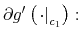  \partial g^{\prime}\left( \left. \cdot\right\vert _{c_{1}}\right) :