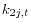 k_{2j,t} 