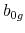  b_{0g}