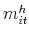  m_{it}^{h}