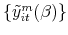  \{\tilde{y}_{it}^{m}(\beta )\}