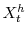  X_{t}^{h}